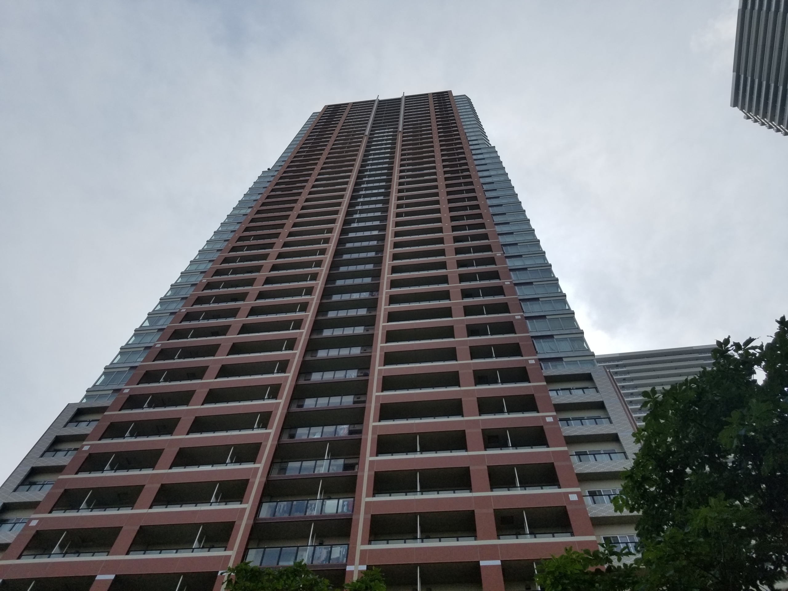 ぎょうざ THE KOSUGI TOWER ザ・コスギタワー 購入・売却・中古相場